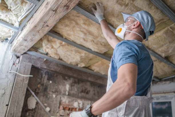 Best Cellulose Insulation in Douglasville, GA