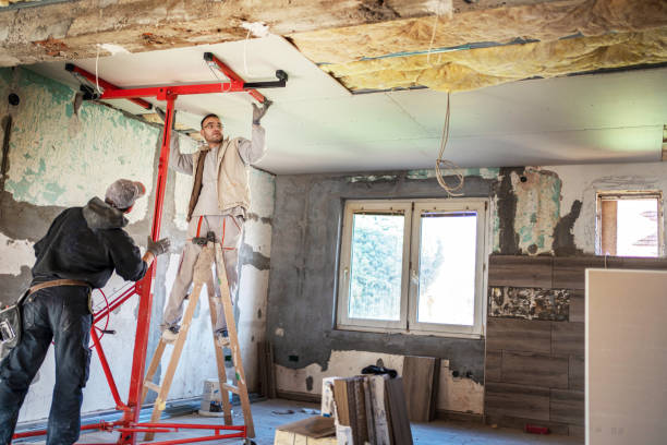 Best Eco-Friendly Insulation in Douglasville, GA